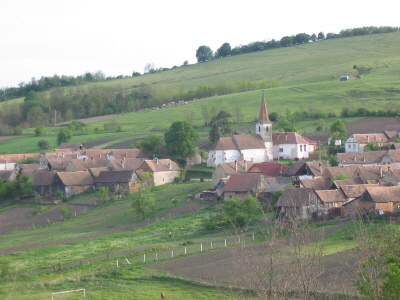 Zur Hohndorfer Bildergalerie